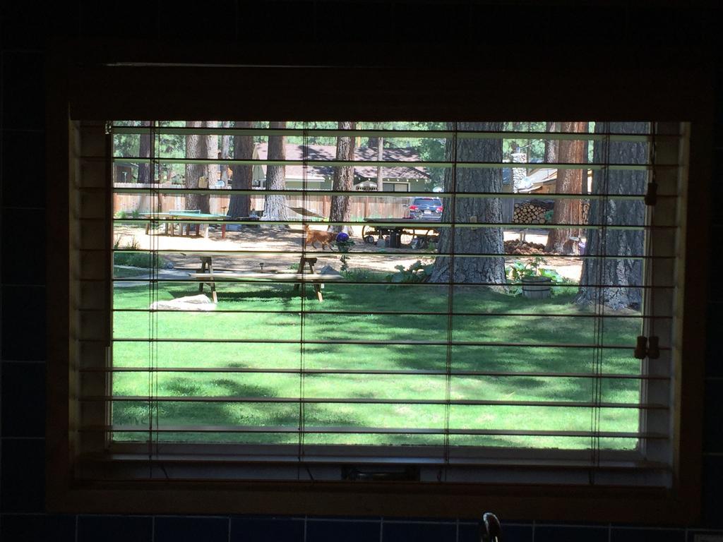 Holly'S Place South Lake Tahoe Ruang foto